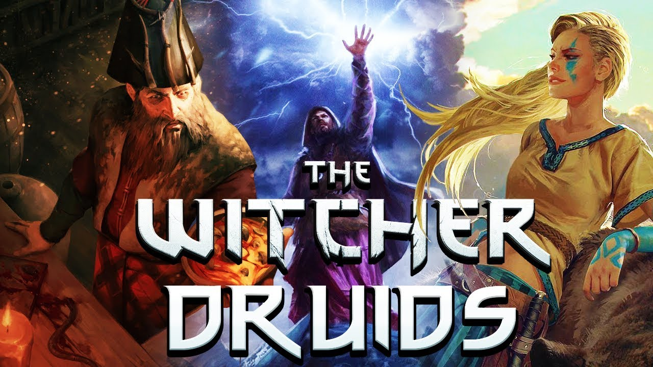 Druid the witcher